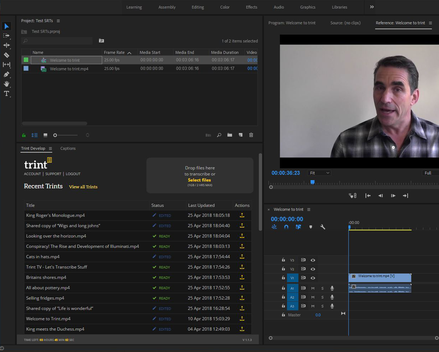 Trint Adobe Premiere Extension Panel