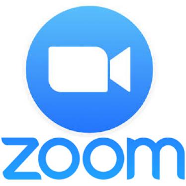 Zoom Logo