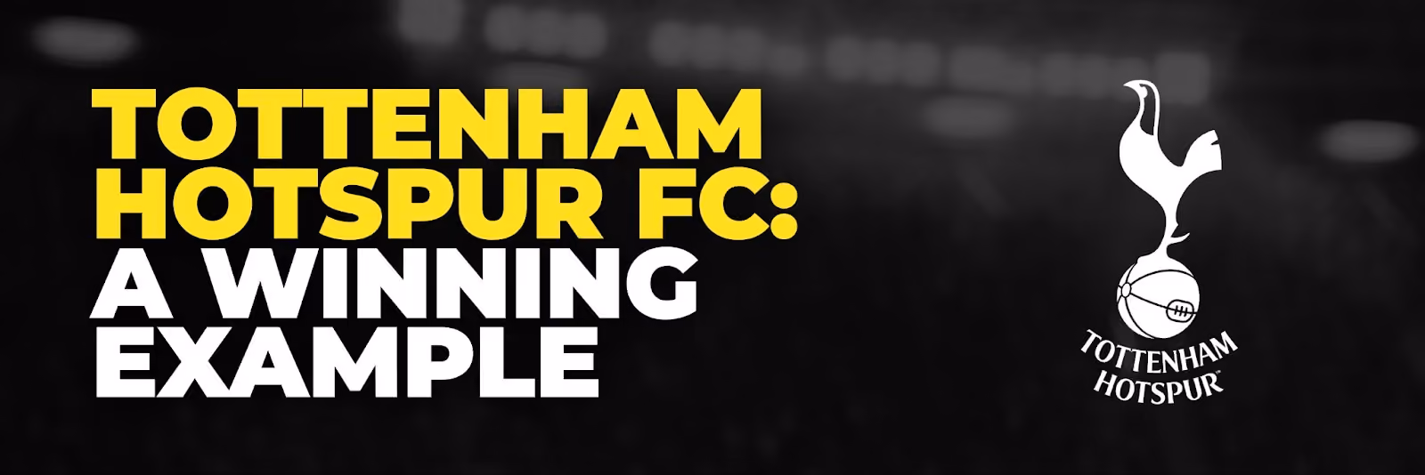 Tottenham Hotspur DC: A winning example